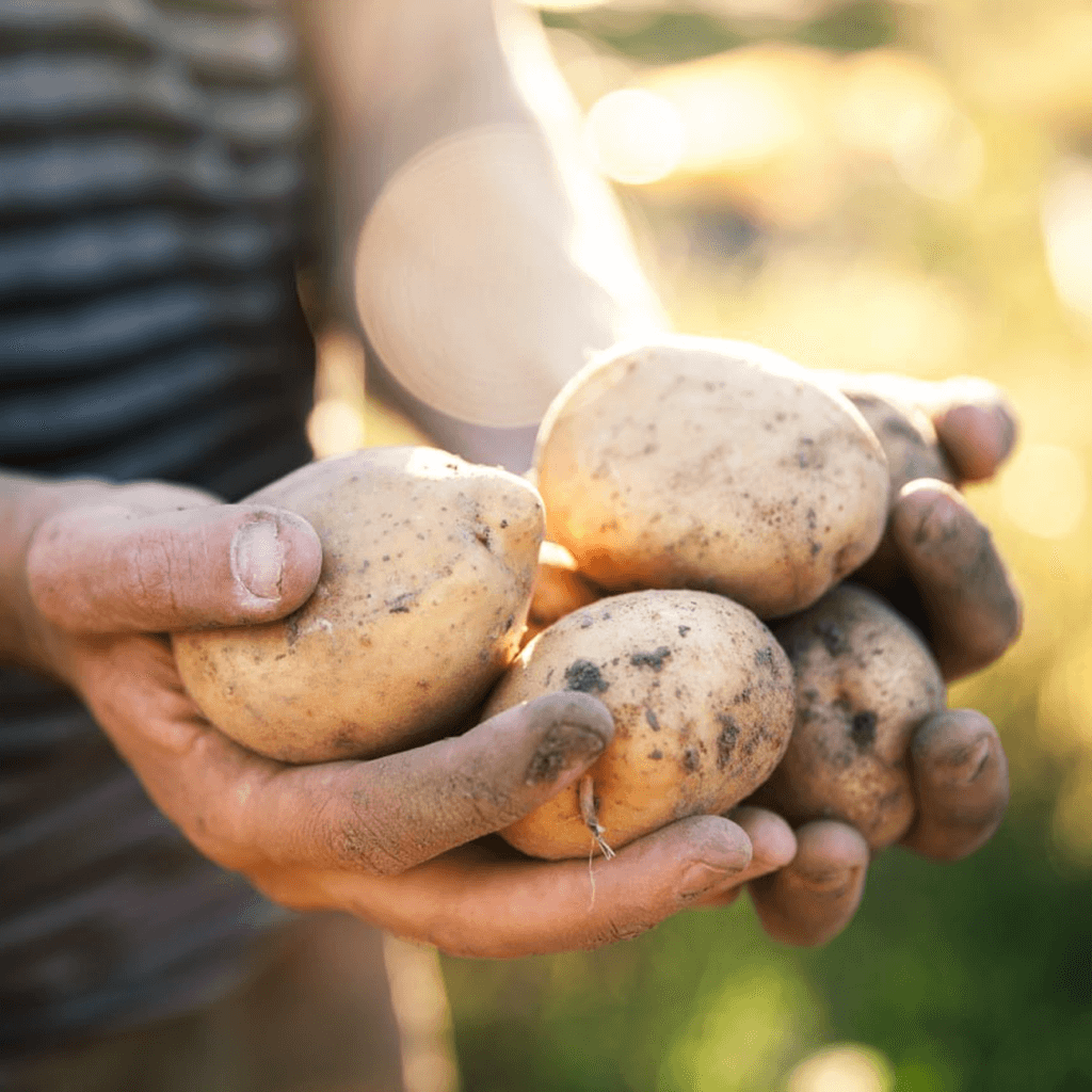 Висока ефективність