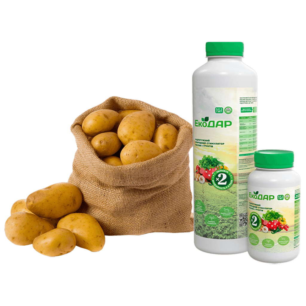 Добриво для картоплі