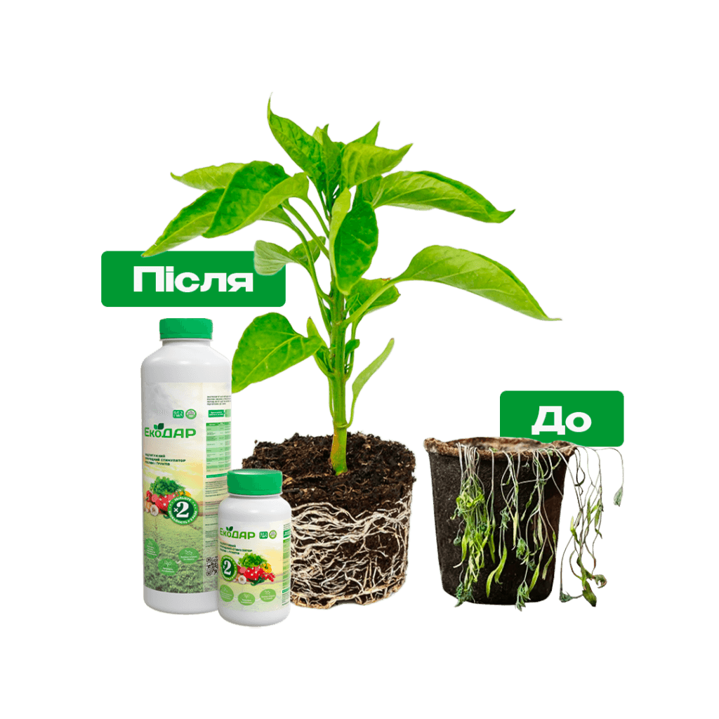 добриво для розсади