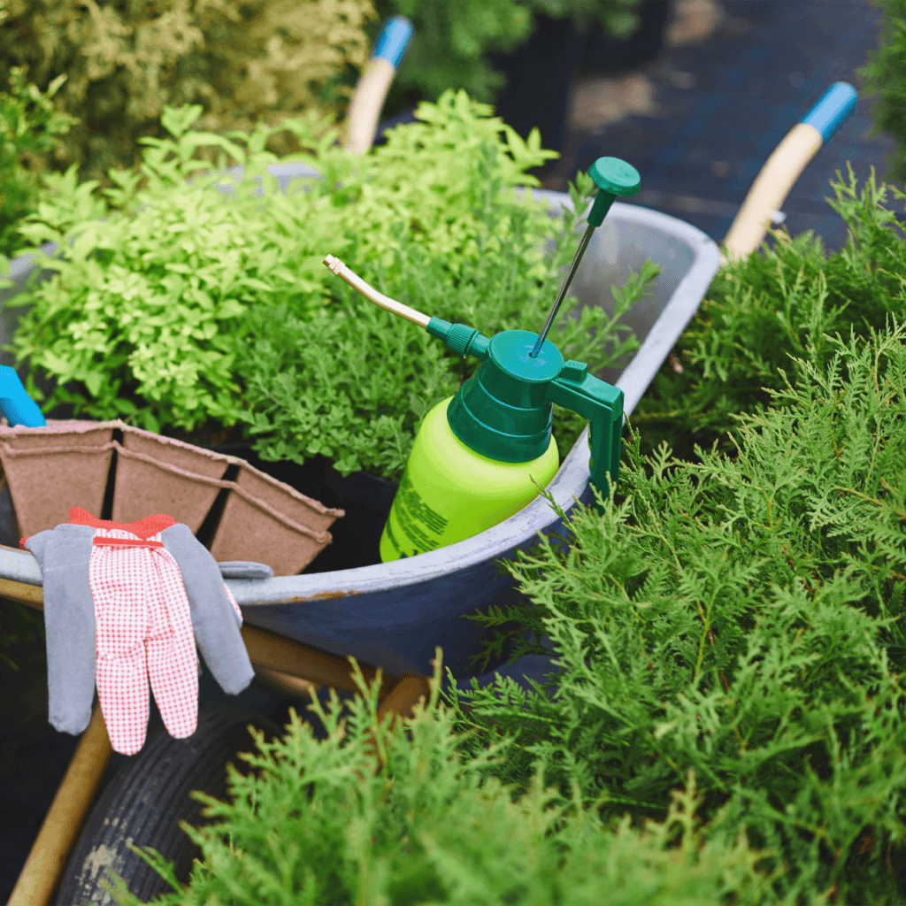 Запобігає захворюванням