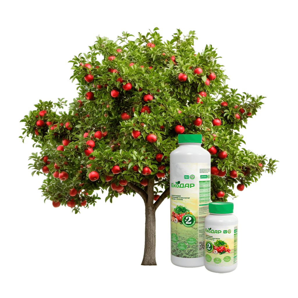 Добриво для плодових дерев