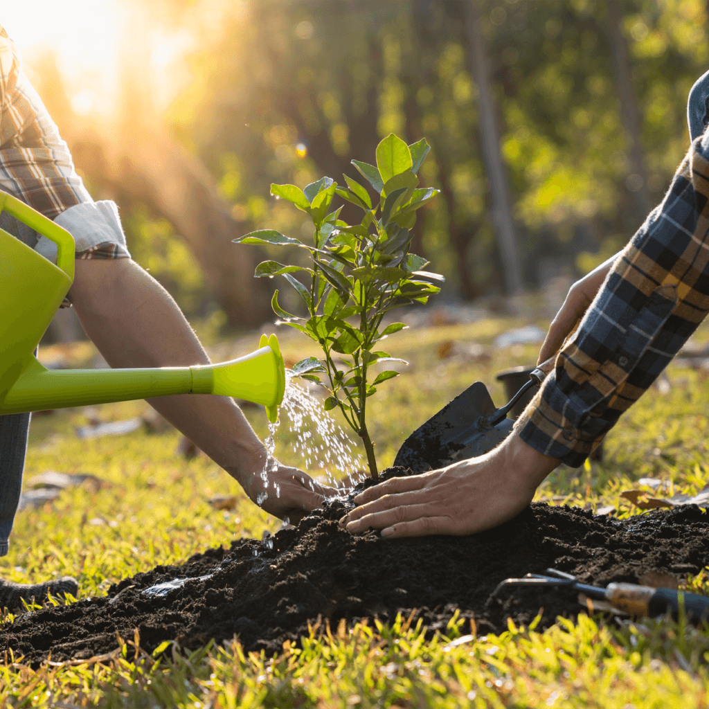 Збалансоване харчування