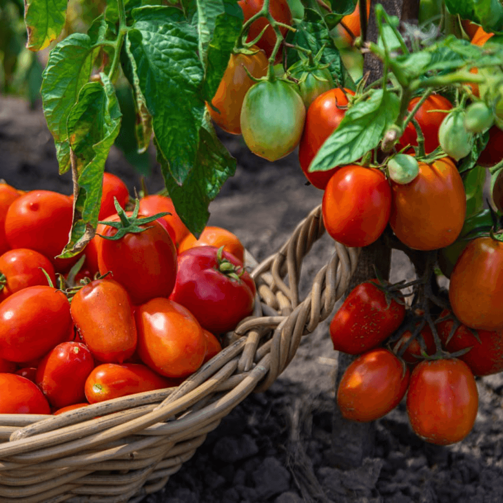 Екологічна безпека