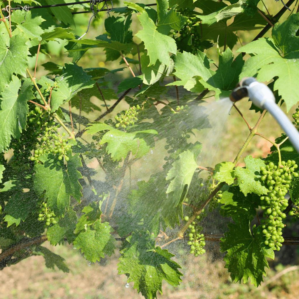 Простота застосування