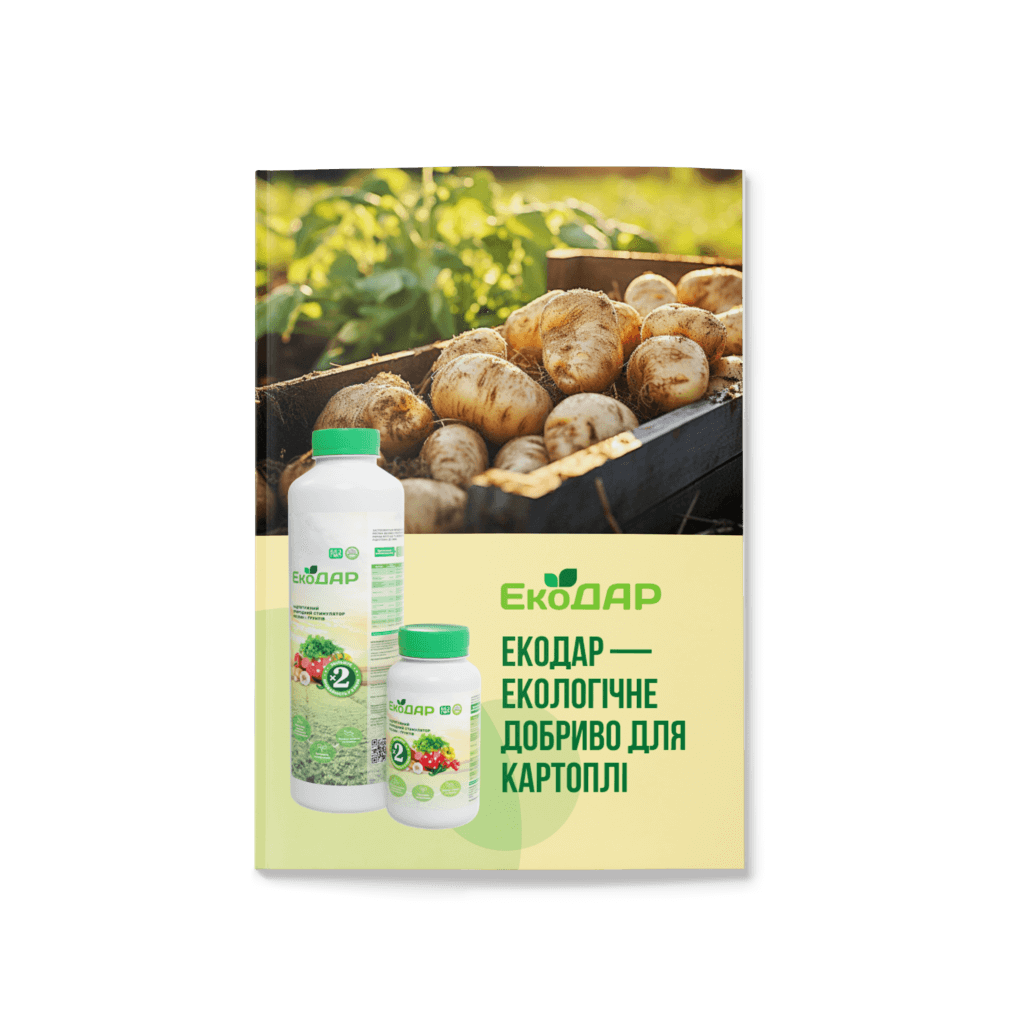 Як доглядати за картоплею